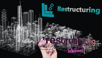 Comprehensive Company Architecture & Restructure Solutions